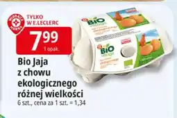 E.Leclerc Jaja z chowu ekologicznego różnej wielkości oferta