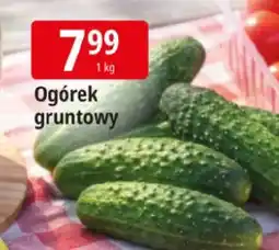 E.Leclerc Ogórek gruntowy oferta
