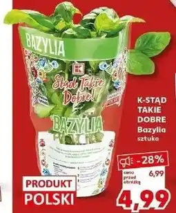 Kaufland K-STĄD TAKIE DOBRE Bazylia sztuka oferta