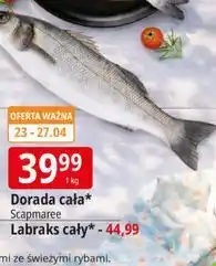 E.Leclerc Labraks cały oferta