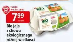 E.Leclerc Bio Jaja z chowu ekologicznego różnej wielkości oferta