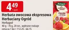 E.Leclerc Herbata owocowa ekspresowa Herbaciany Ogród Herbapol oferta