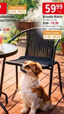 E.Leclerc Krzesło Bistro 55 x 62 x 71 cm oferta