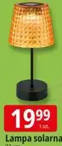E.Leclerc Lampa solarna 23 cm oferta
