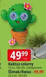 E.Leclerc Kaktus solarny 19 cm, 104 LED, z hologramem oferta