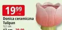 E.Leclerc Donica ceramiczna Tulipan 12,1 cm oferta