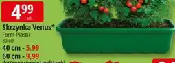 E.Leclerc Skrzynka Venus* Form-Plastic 30 cm oferta