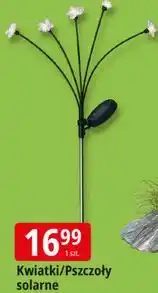 E.Leclerc Kwiatki/Pszczoły solarne 70 cm oferta