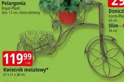 E.Leclerc Kwietnik metalowy* 67 x 21 x 38 cm oferta