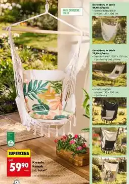 Biedronka Krzesło, hamak lub fotel oferta