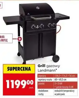 Biedronka Grill gazowy Landmann oferta