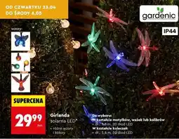Biedronka Girlanda solarna LED oferta