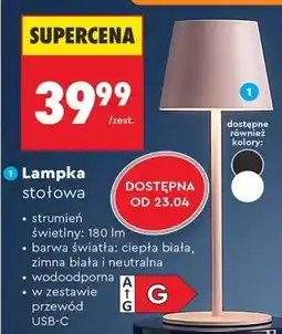 Biedronka Lampka stołowa oferta