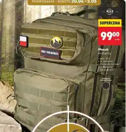 Biedronka Plecak militarny oferta