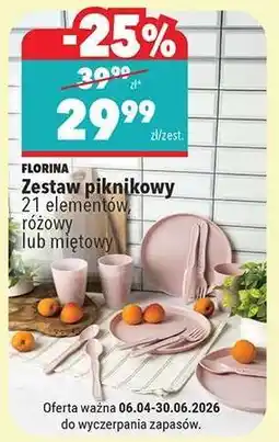 Biedronka Zestaw piknikowy oferta