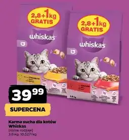 Netto Karma sucha dla kotów (różne rodzaje) oferta