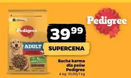Netto Sucha karma dla psów oferta