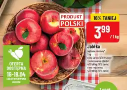 Polomarket Jabłka oferta