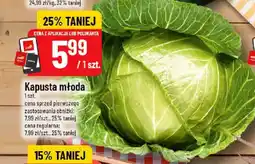 Polomarket Kapusta młoda oferta