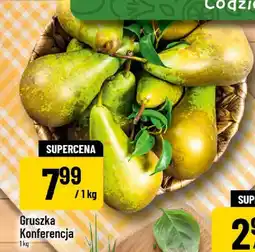 Polomarket Gruszka Konferencja oferta