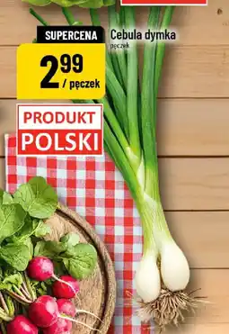 Polomarket Cebula dymka oferta