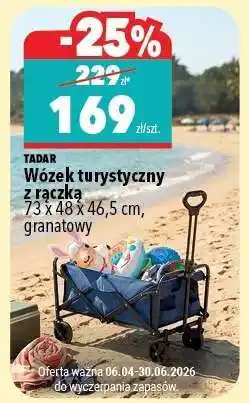 Biedronka Wózek turystyczny z rączką oferta