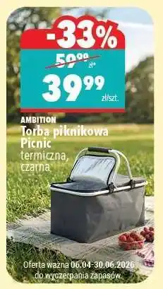 Biedronka Torba piknikowa Picnic oferta