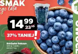 Netto Borówka Sekoya oferta