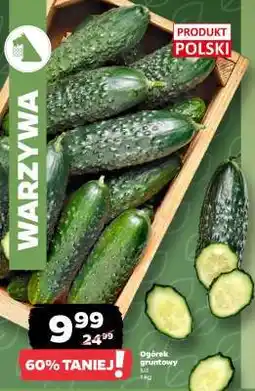Netto Ogórek gruntowy luz oferta