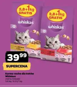 Netto Karma sucha dla kotów Whiskas oferta