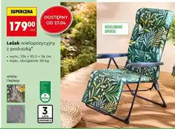 Biedronka Leżak wielopozycyjny z poduszką oferta