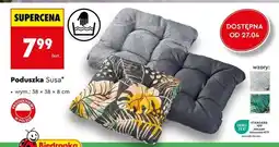 Biedronka Poduszka Susa oferta