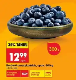 Biedronka Borówki amerykańskie Opak. 300 g oferta