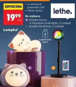 Biedronka Lampa oferta