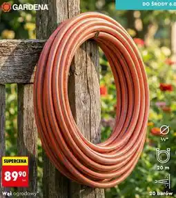 Biedronka Wąż ogrodowy oferta