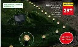 Biedronka Łańcuch solarny gruntowy oferta