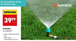 Biedronka Zraszacz na szpilce oferta