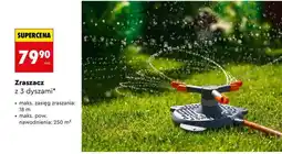 Biedronka Zraszacz z 3 dyszami oferta