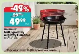 Biedronka Grill ogrodowy węglowy Flamenco oferta
