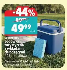 Biedronka Lodówka turystyczna z wkładami chłodzącymi oferta
