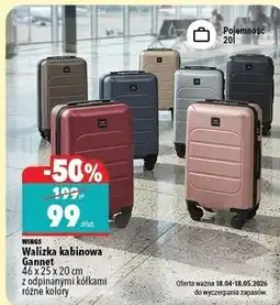 Biedronka Walizka kabinowa Gannet 46 x 25 x 20 cm z odpinanymi kółkami różne kolory WINGS oferta