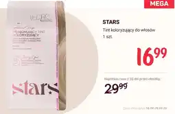 Rossmann Tint koloryzujący do włosów oferta