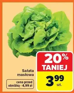 Carrefour Sałata masłowa oferta