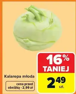 Carrefour Kalarepa młoda oferta