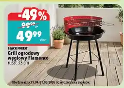 Biedronka Grill ogrodowy węglowy Flamenco ruszt 33 cm oferta