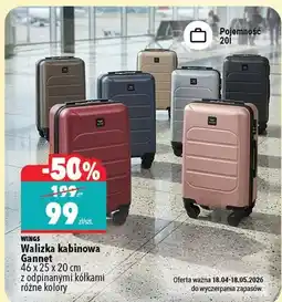 Biedronka Walizka kabinowa Gannet 46 x 25 x 20 cm z odpinalnymi kółkami różne kolory oferta