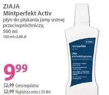 Hebe ZIAJA Mintperfekt Activ płyn do płukania jamy ustnej przeciwpróchniczy oferta