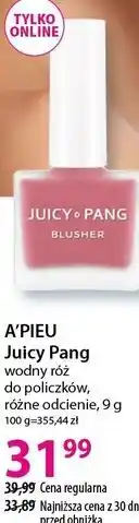 Hebe A'PIEU Juicy Pang wodny róż do policzków, różne odcienie oferta