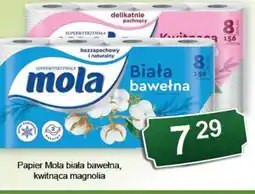 Eden Mola Papier oferta