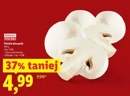 Lidl Pieczarki polskie oferta